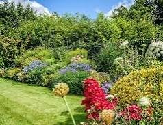 Tuinman, Diensten en Vakmensen, Tuinonderhoud of Snoeiwerk