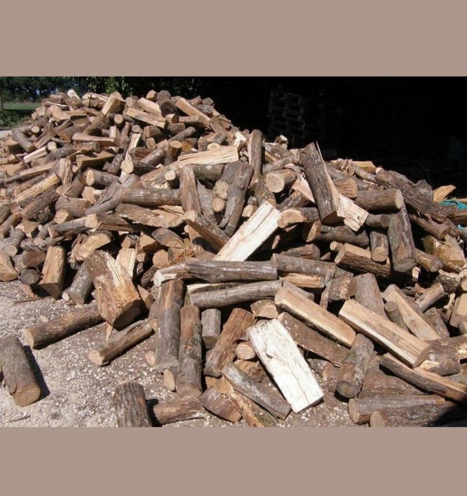 Bois de chauffage sec, Chêne