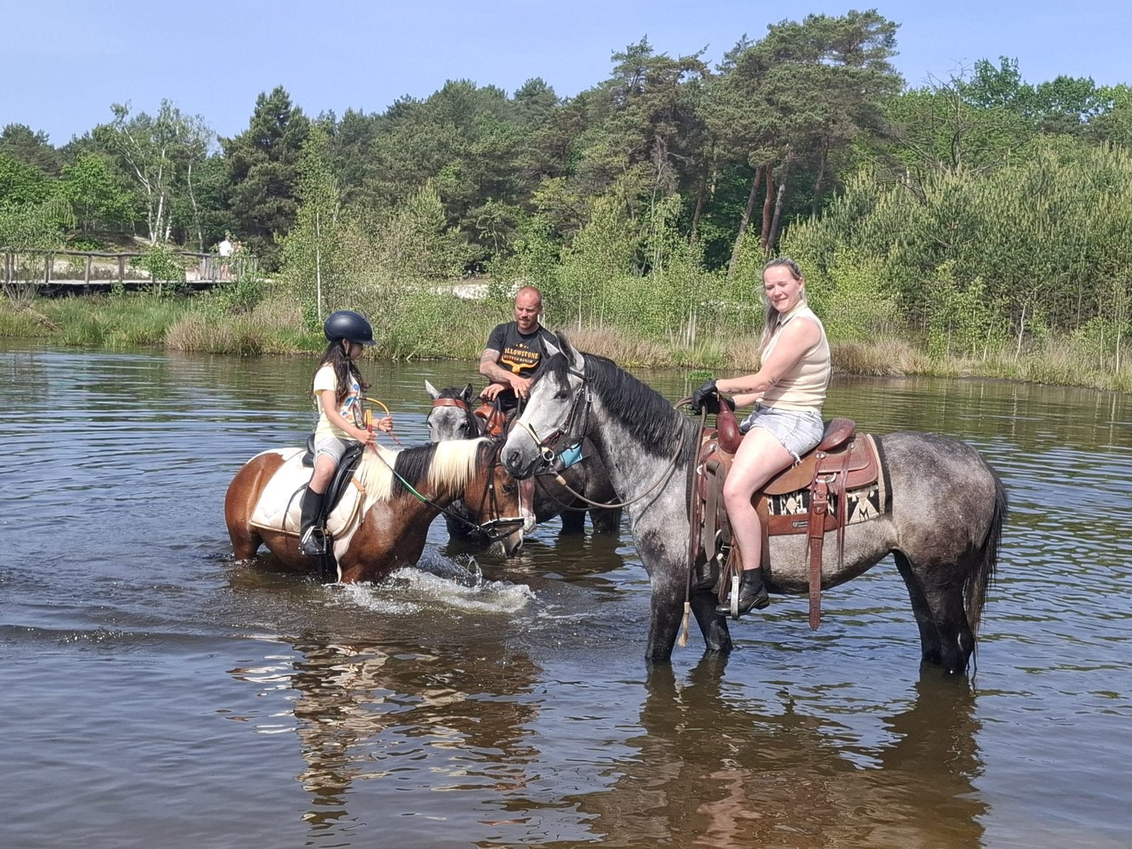 Brave 5 jaroge merrie, Dieren en Toebehoren, Paarden, Merrie, B, Minder dan 160 cm, 3 tot 6 jaar, Recreatiepaard, Gechipt, Ontwormd