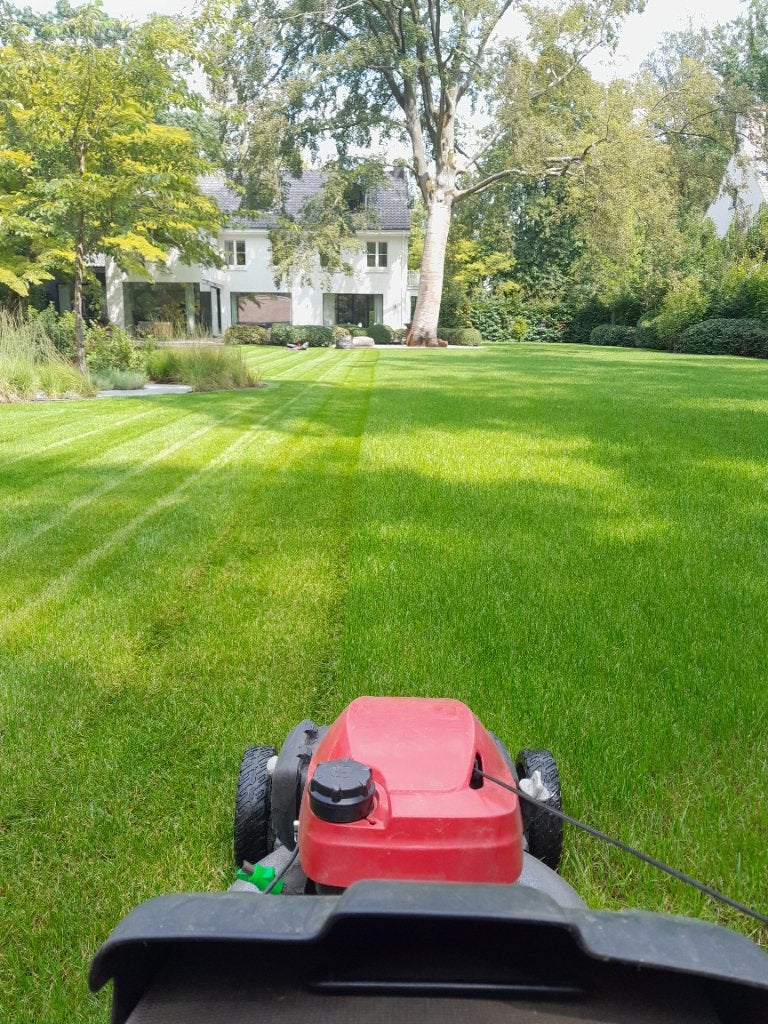 ervaren tuinman zoekt werk, Tuin- of Vijveraanleg