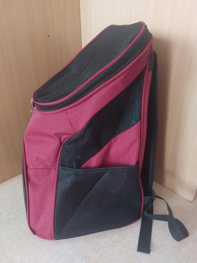 Sac à dos de transport pour chat où pour petit chien, Animaux & Accessoires, Accessoires pour chiens, Enlèvement