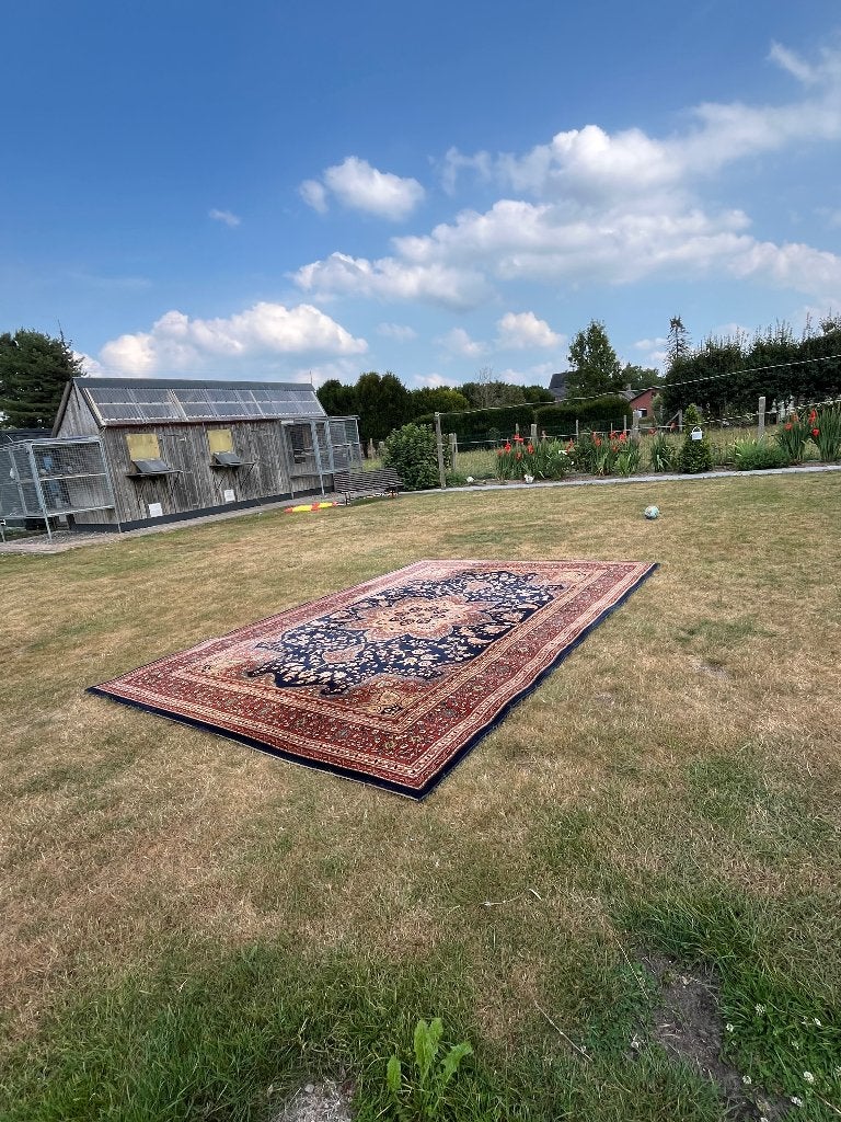 Wollen mat, Maison & Meubles, Ameublement | Tapis & Moquettes, 200 cm ou plus, 200 cm ou plus, Bleu, Comme neuf