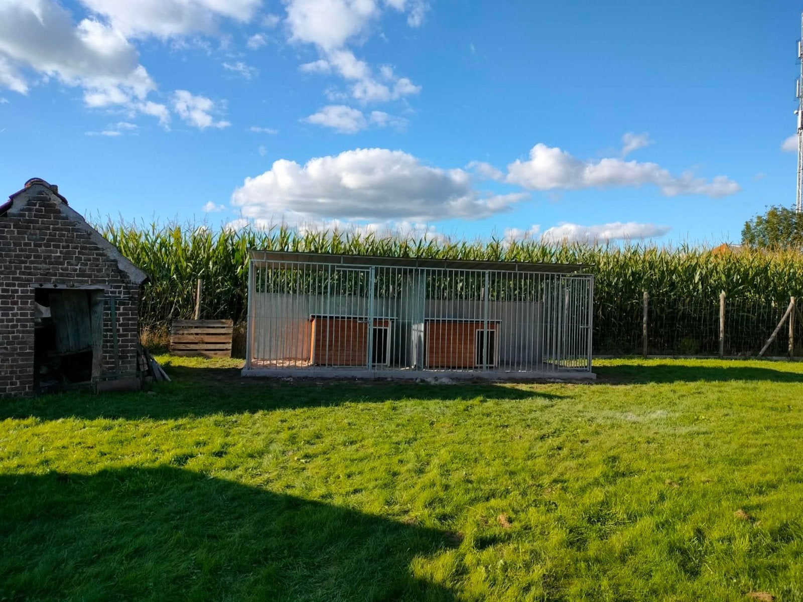 overdekte hondenren 6m x 2m, Comme neuf, Enlèvement, Niche à chien, 100 cm ou plus