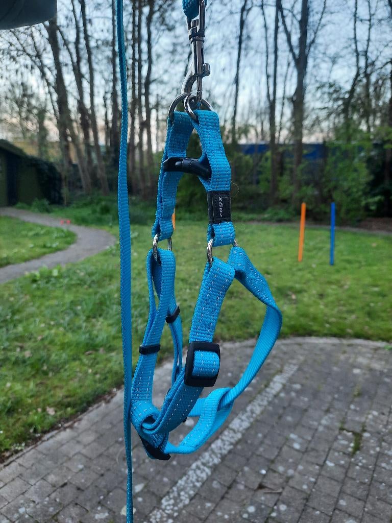 Rogz for Dogs tuigje en bijhorende lijn - Maat M, Dieren en Toebehoren, Hondenhalsbanden en Penningen, Zo goed als nieuw, Ophalen