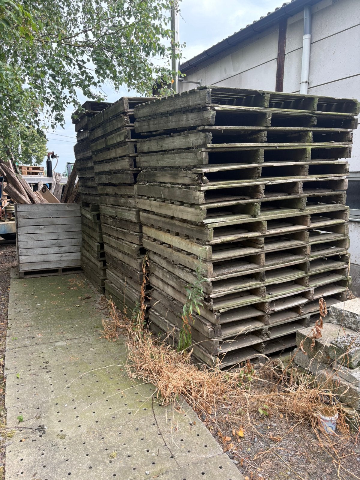 Gratis brandhout, Tuin en Terras, Brandhout, Ophalen