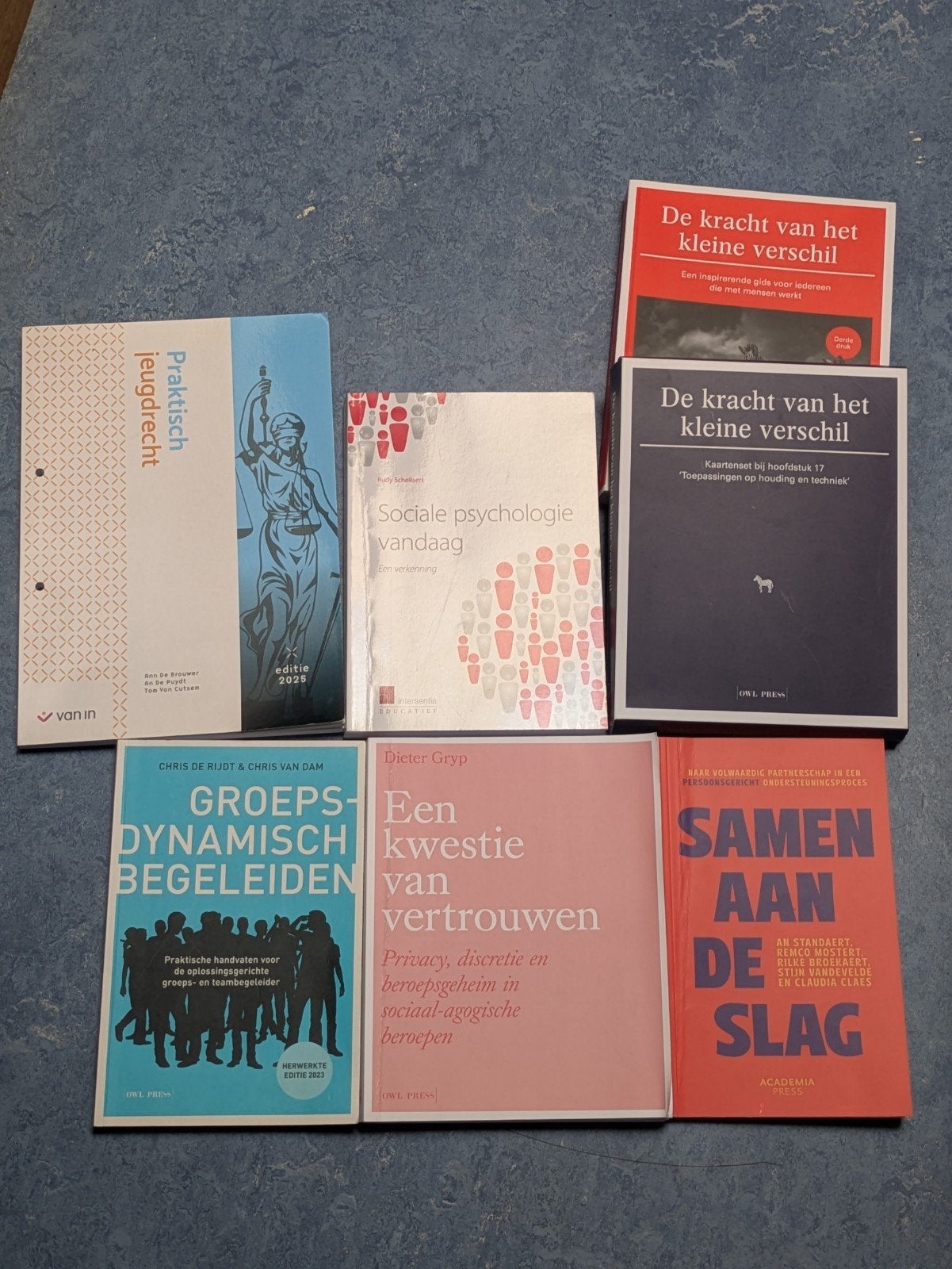 Boeken 2e jaar Orthopedagogie HOGENT, Livres, Art & Culture | Architecture, Enlèvement