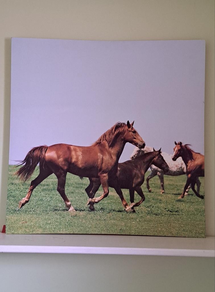Canvas rennende paarden, Ophalen, Gebruikt, 50 tot 75 cm, Overige typen