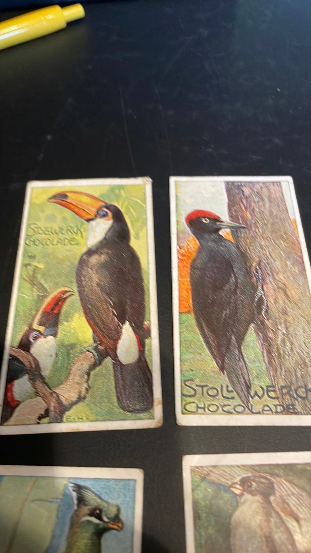 Stollwerck chromo groep 17(x3a), Verzamelen, Gebruikt, Ophalen of Verzenden, 1940 tot 1960, Dier