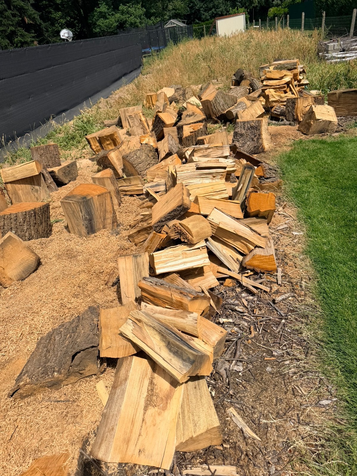 6 m3 Zo snel mogelijk weg/ kastanje brandhout, Tuin en Terras, Brandhout, 3 tot 6 m³, Ophalen, Overige houtsoorten, Blokken