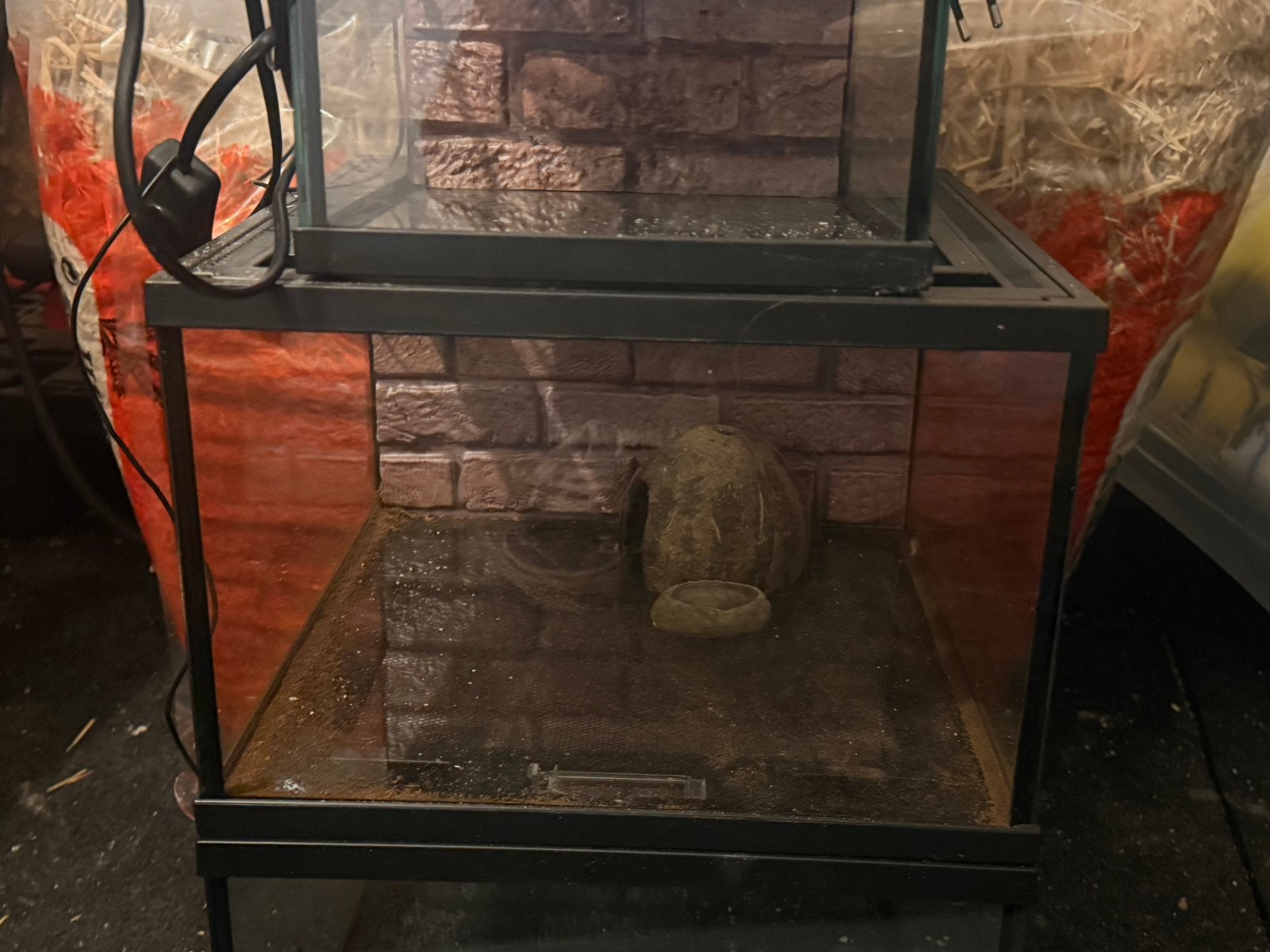 Terrarium, Enlèvement