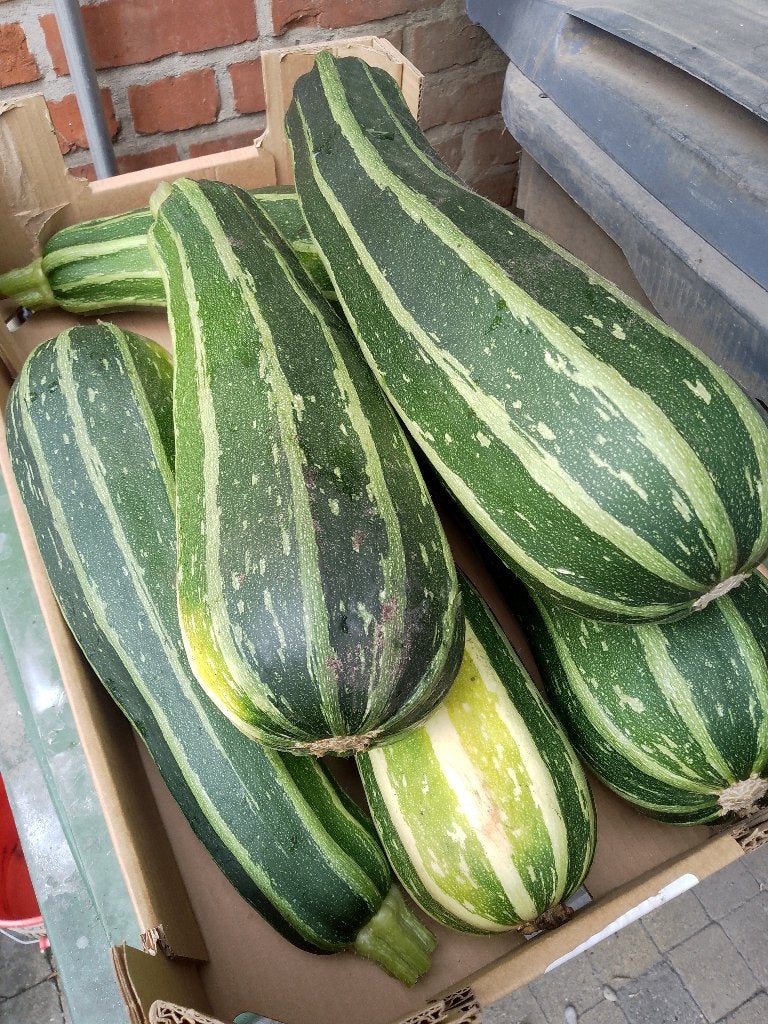 bio courgettes, Enlèvement