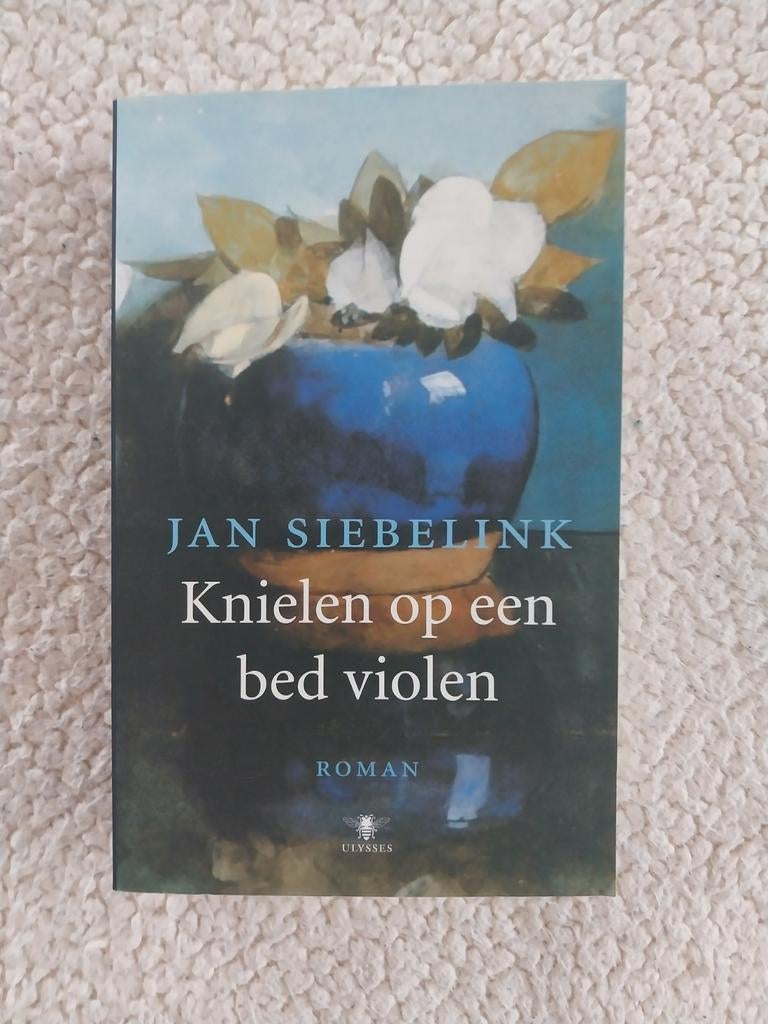 Roman Jan Siebelink, Enlèvement
