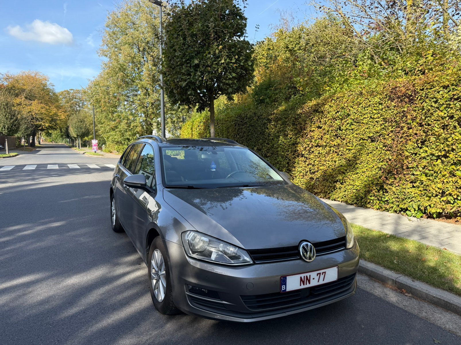 Volkswagen Golf 1.6 TDI — Euro 6b — Bien entretenue, Argent ou Gris, Achat, Euro 6, Boîte manuelle