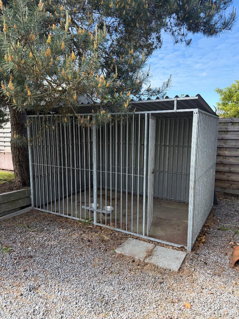 Hondenren / hondenhok met dak, Dieren en Toebehoren, Ophalen, 110 cm of meer, Hondenhok, 100 cm of meer
