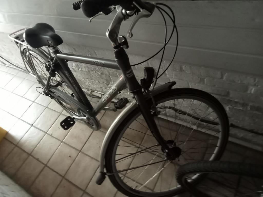 Heren fiets, Fietsen en Brommers, Elektrische fietsen, Ophalen