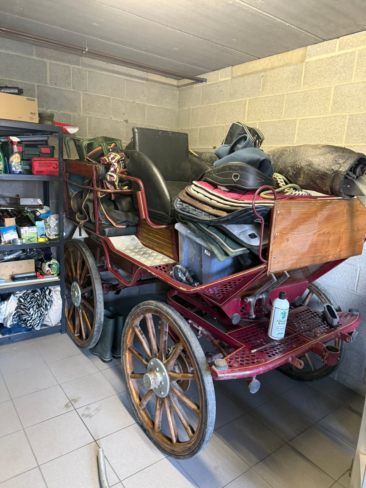 Mooie recreatiekoets, Gebruikt, Marathonwagen, Paard