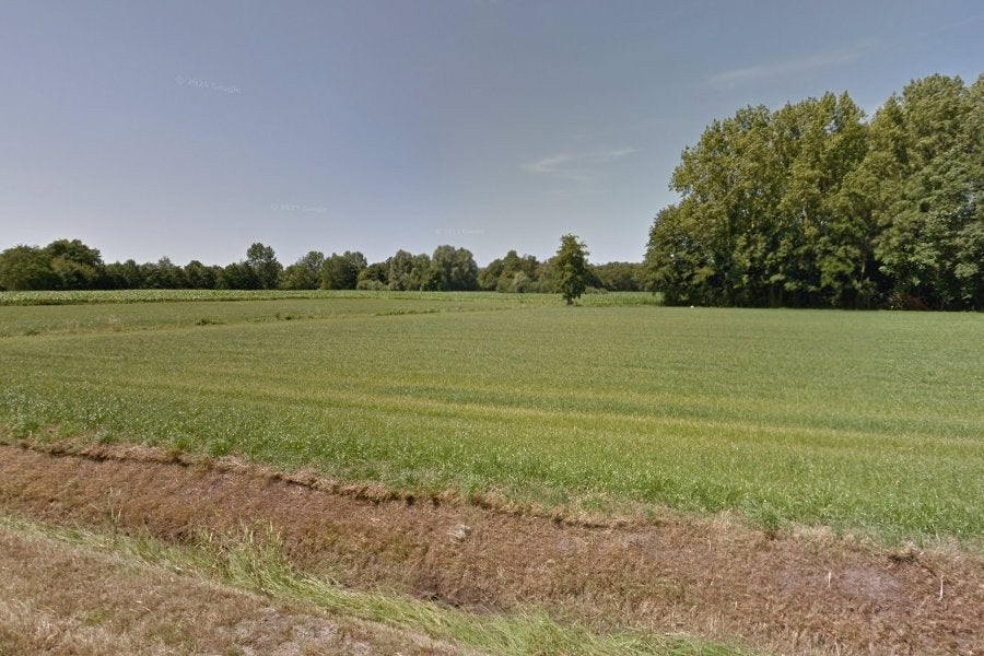 Te koop weide 55 are., Dieren en Toebehoren