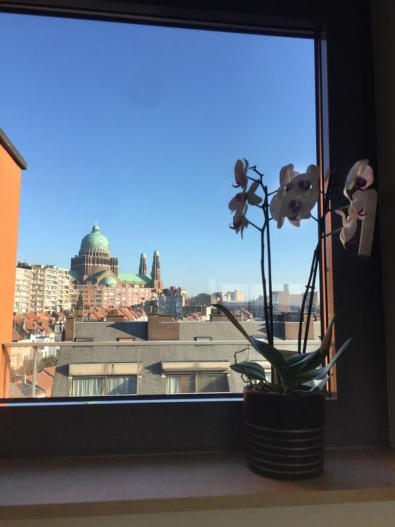 Appartement in de basiliekwijk, Immo