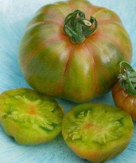 5 graines de tomate Cherokee Lime Stripe - biologique, Jardin & Terrasse, Envoi, Printemps, Graine