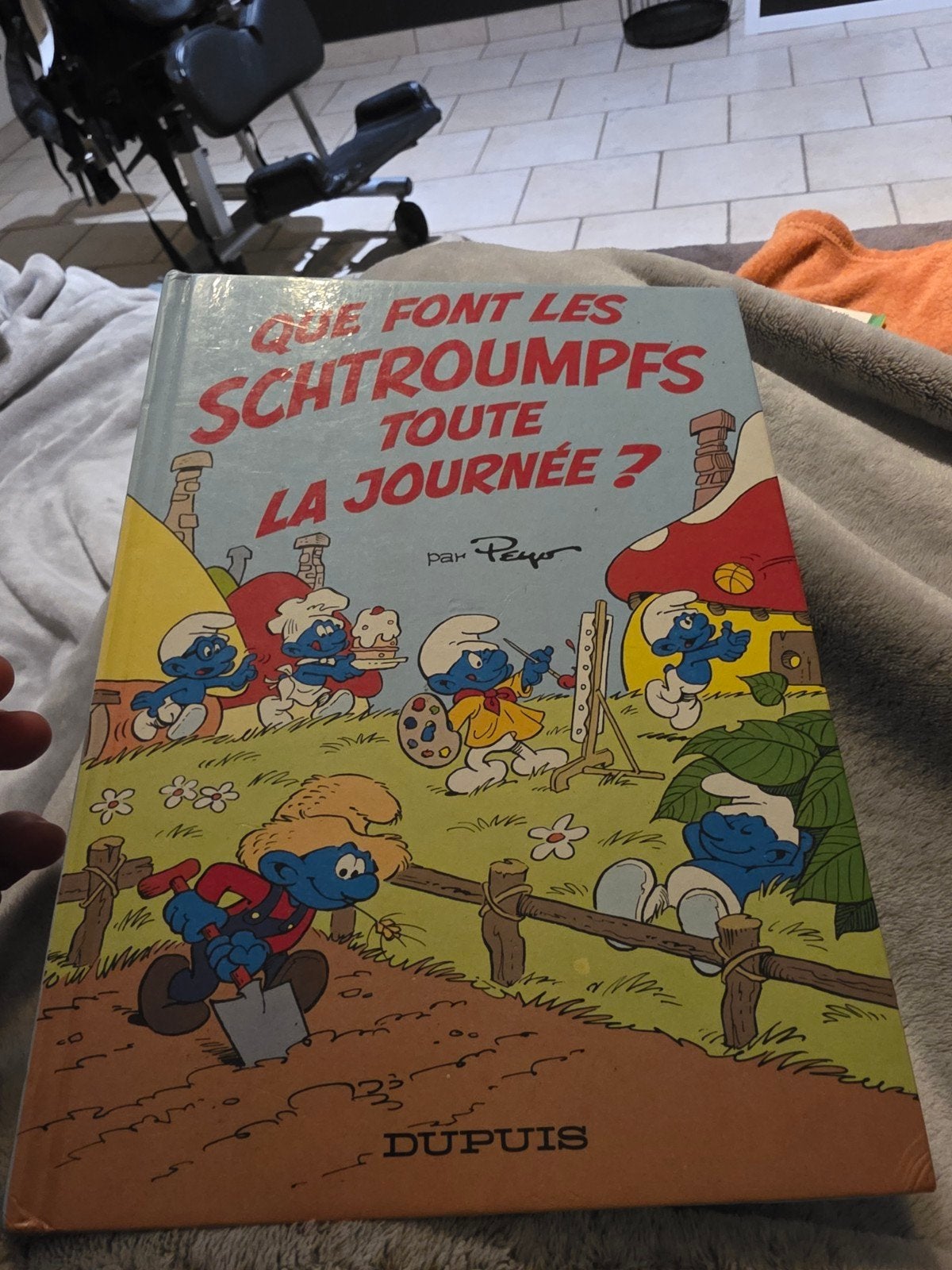 bd que font les schtroumpfs toute la journee, Enlèvement ou Envoi