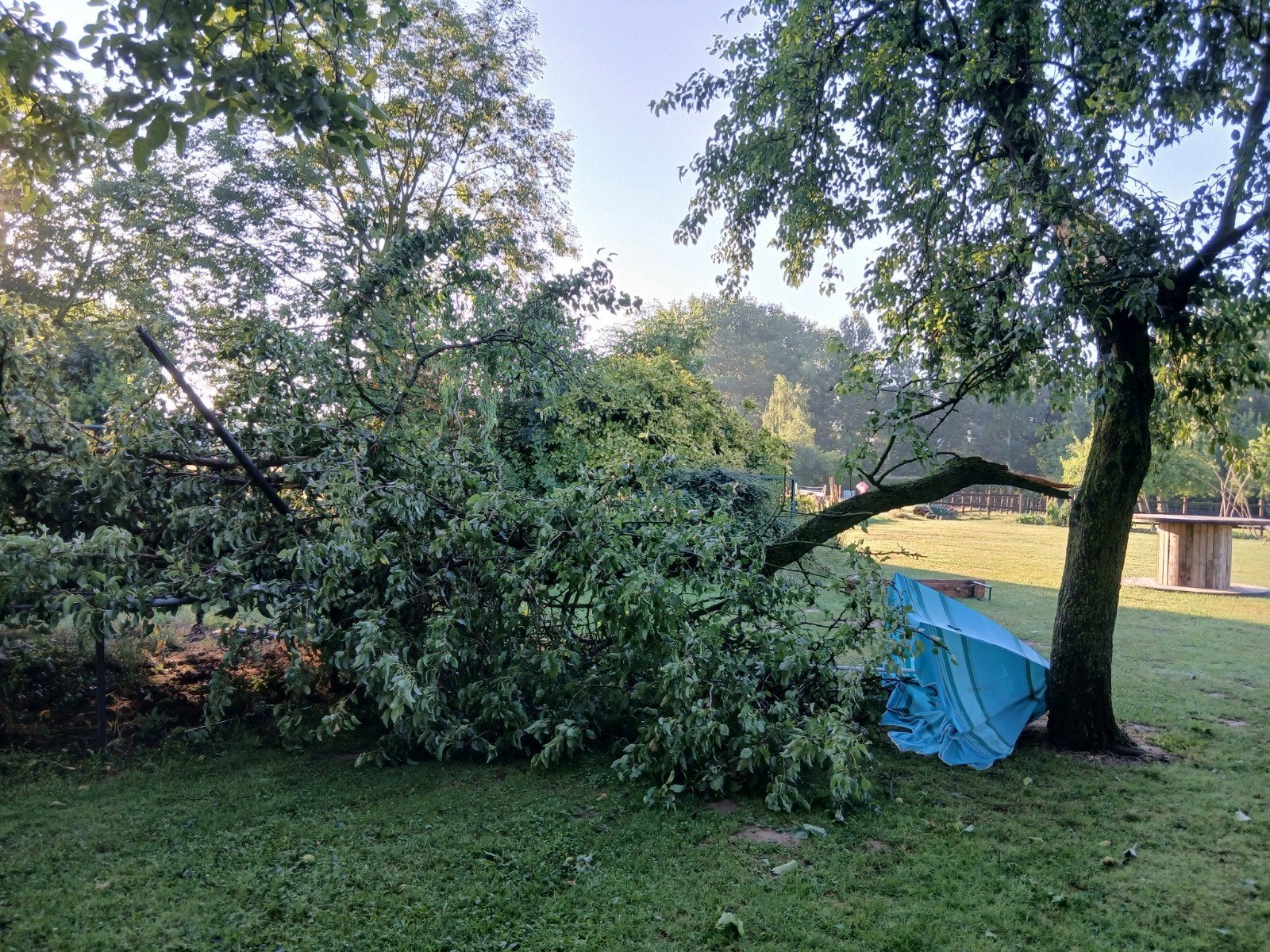 Réparer les dégâts causés par les tempêtes, Enlèvement