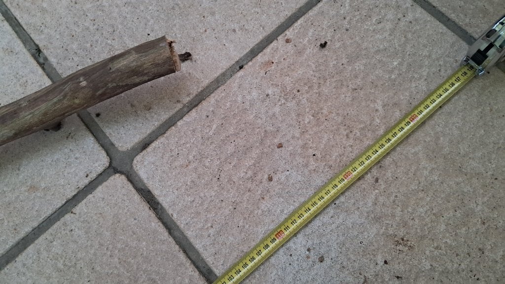 XXL Eikentak 120cm– Premium Hout voor Aquarium & Terrarium, Ophalen, Nieuw, Tak, Plant, Rots of Steen