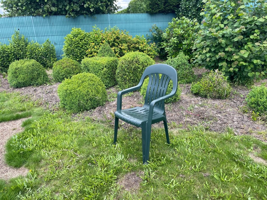 10-tal buxussen, zelf uit de grond te halen, Tuin en Terras, Ophalen