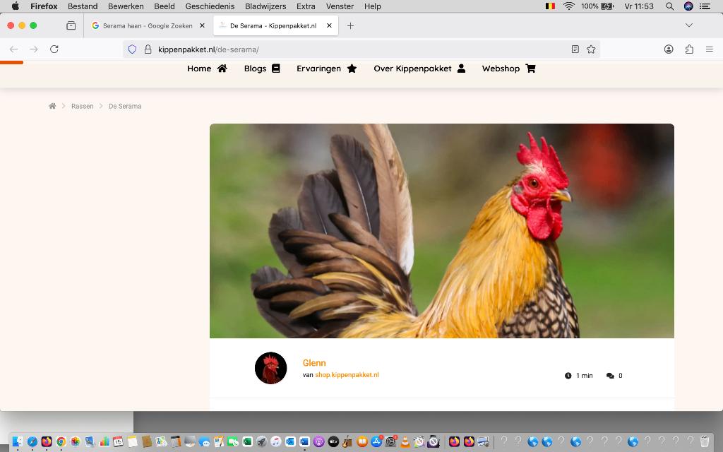 Serama haantjes, Dieren en Toebehoren, Vogels | Overige Vogels, Mannelijk, Tam