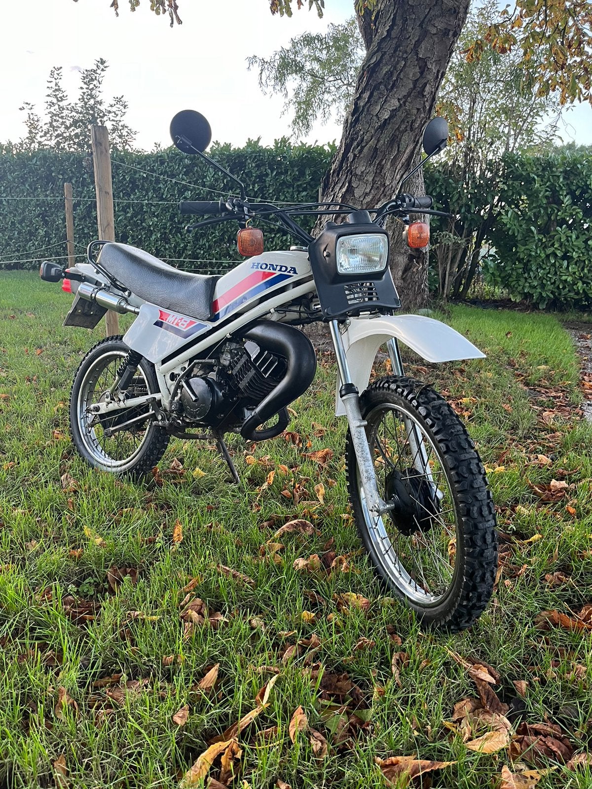 Honda mt5 mt8, 78 cm³, Enlèvement ou Envoi, 5 vitesses, Comme neuf