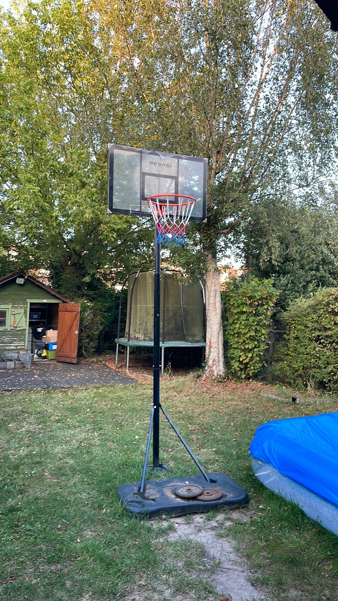 Pegasi basketbalpaal Sport 2.30 - 3.05m, Sport en Fitness, Basketbal, Ophalen, Gebruikt