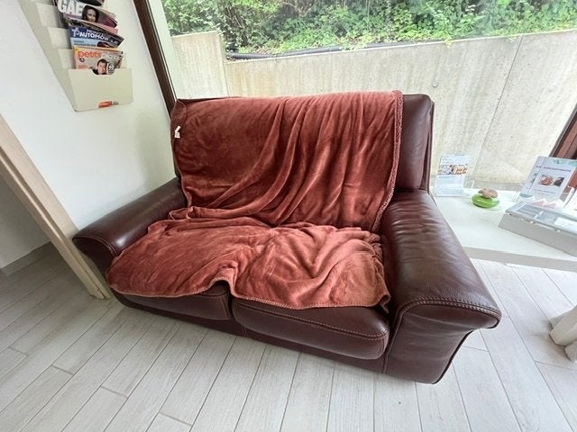 Divan cuir, Maison & Meubles, Canapés | Salons, Banc droit, Enlèvement, Utilisé, Cuir