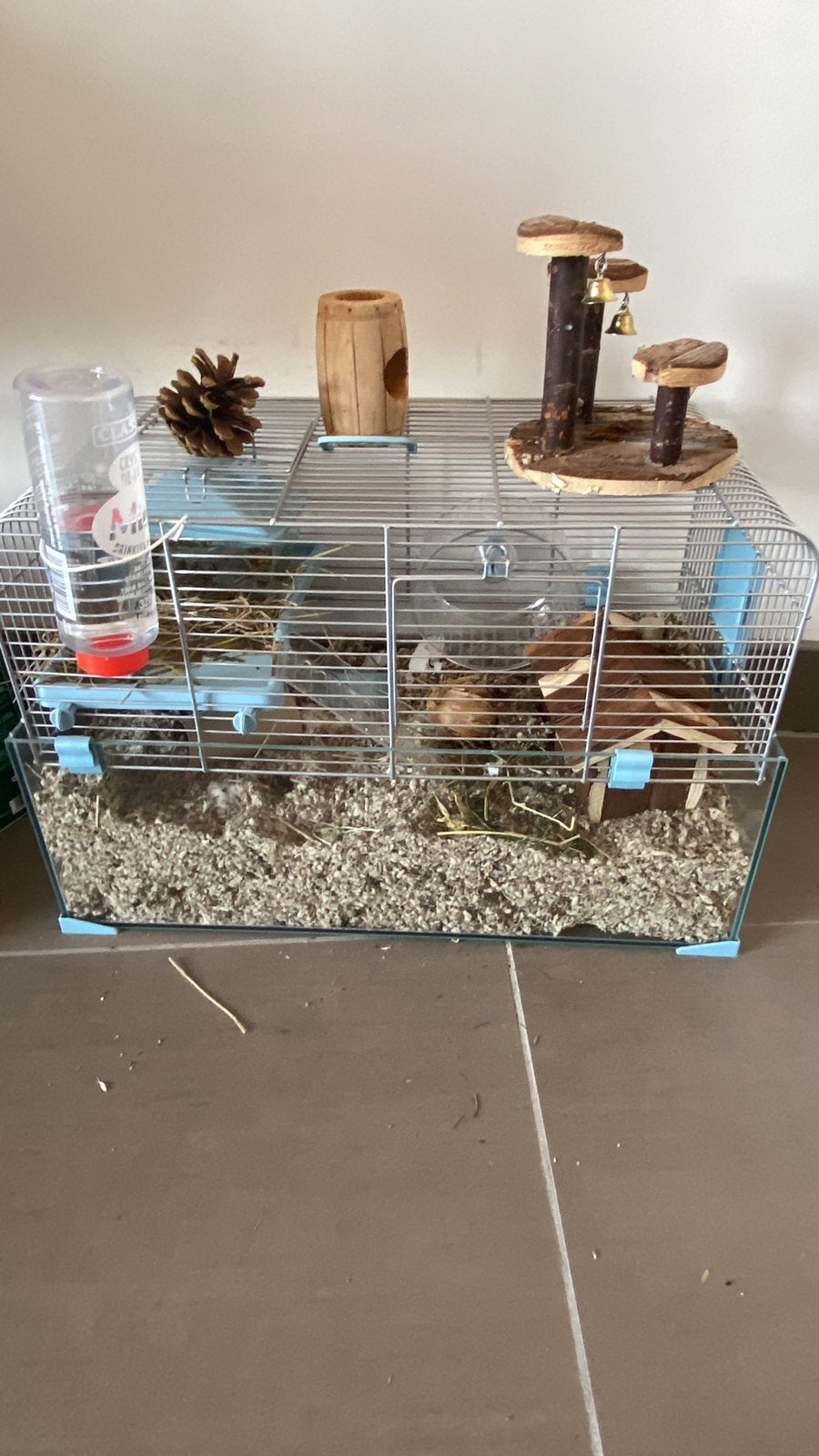 Dwerghamster + kooi te koop, Dieren en Toebehoren, Ophalen, Zo goed als nieuw, Kooi