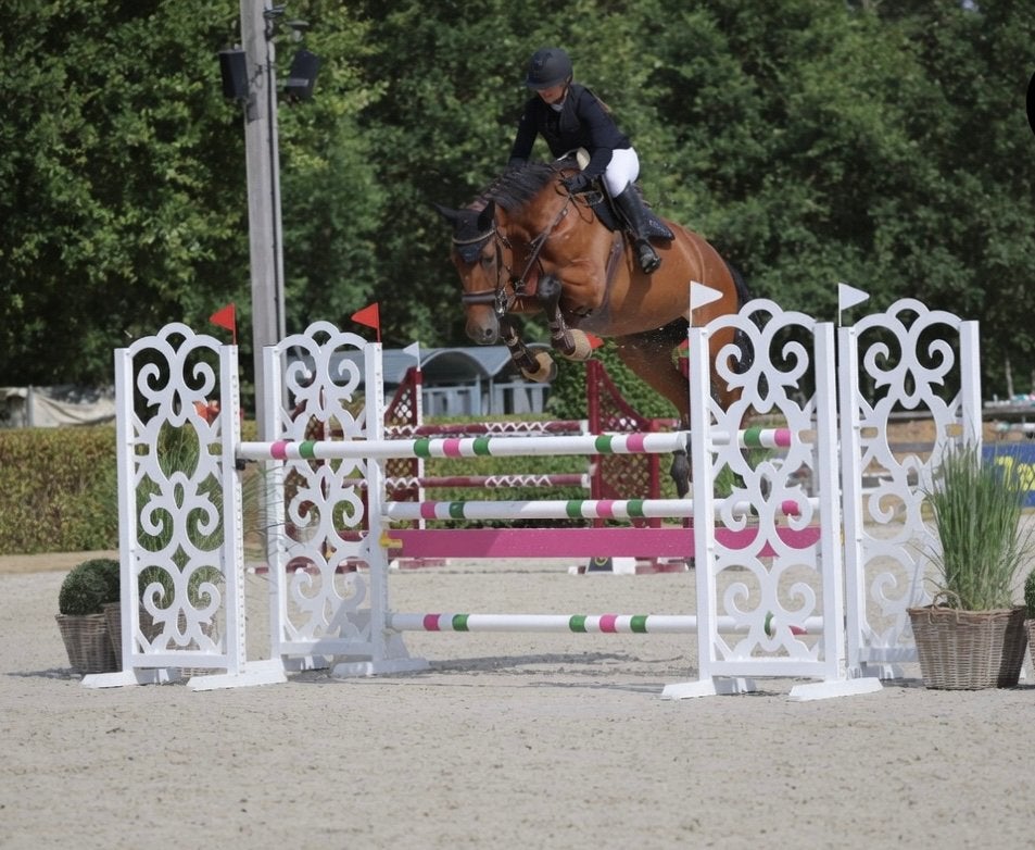 Jong springpaard gezocht!, Dieren en Toebehoren, Merrie, Springpaard, Met stamboom, 3 tot 6 jaar