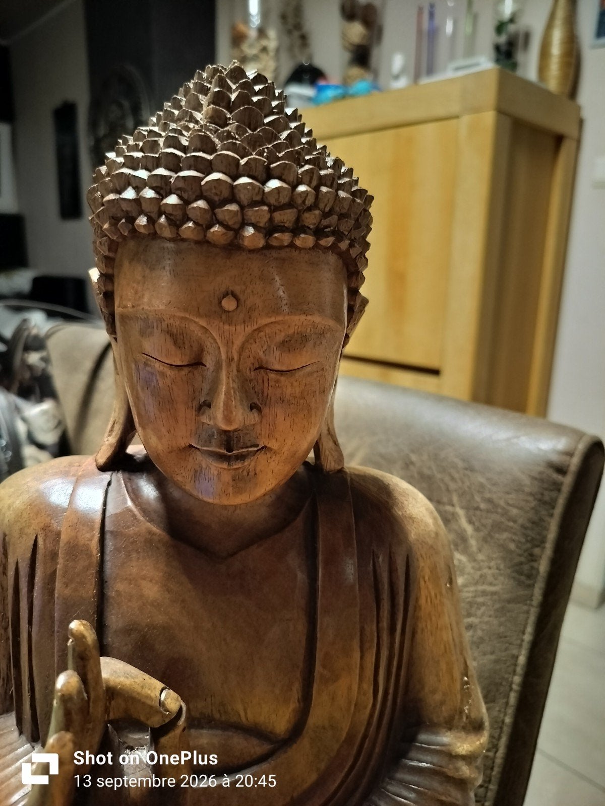 bouddha en bois, Enlèvement, Bois