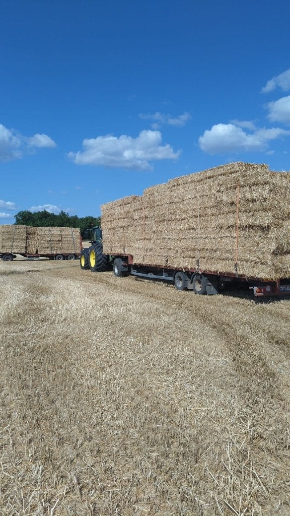 Stro oogst 2026, Zakelijke goederen, Landbouw | Veevoer, Ophalen