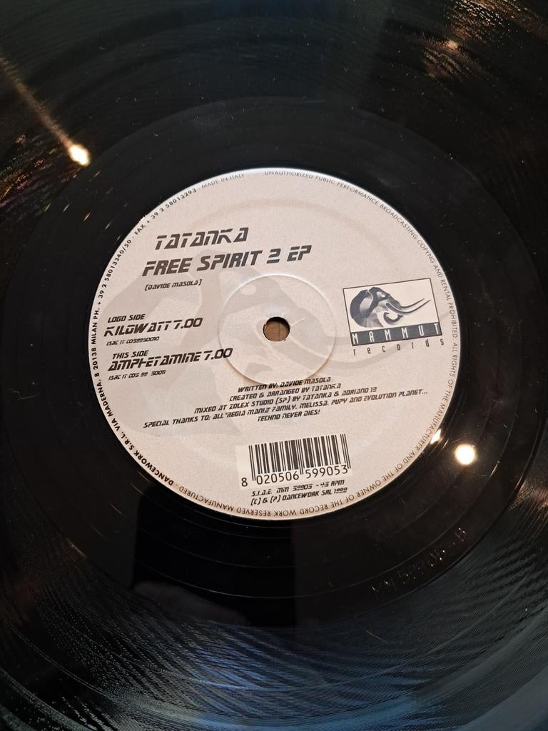 12inch Tatanka, Ophalen of Verzenden, Gebruikt, 12 inch