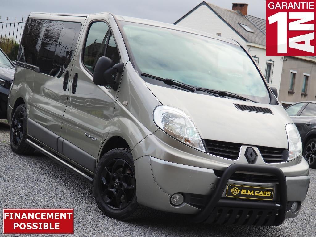 Renault Trafic 2.0 dCi BOITE AUTO TPMR - PMR - MOBILITY, Euro 5, Achat, Entreprise, 2 places