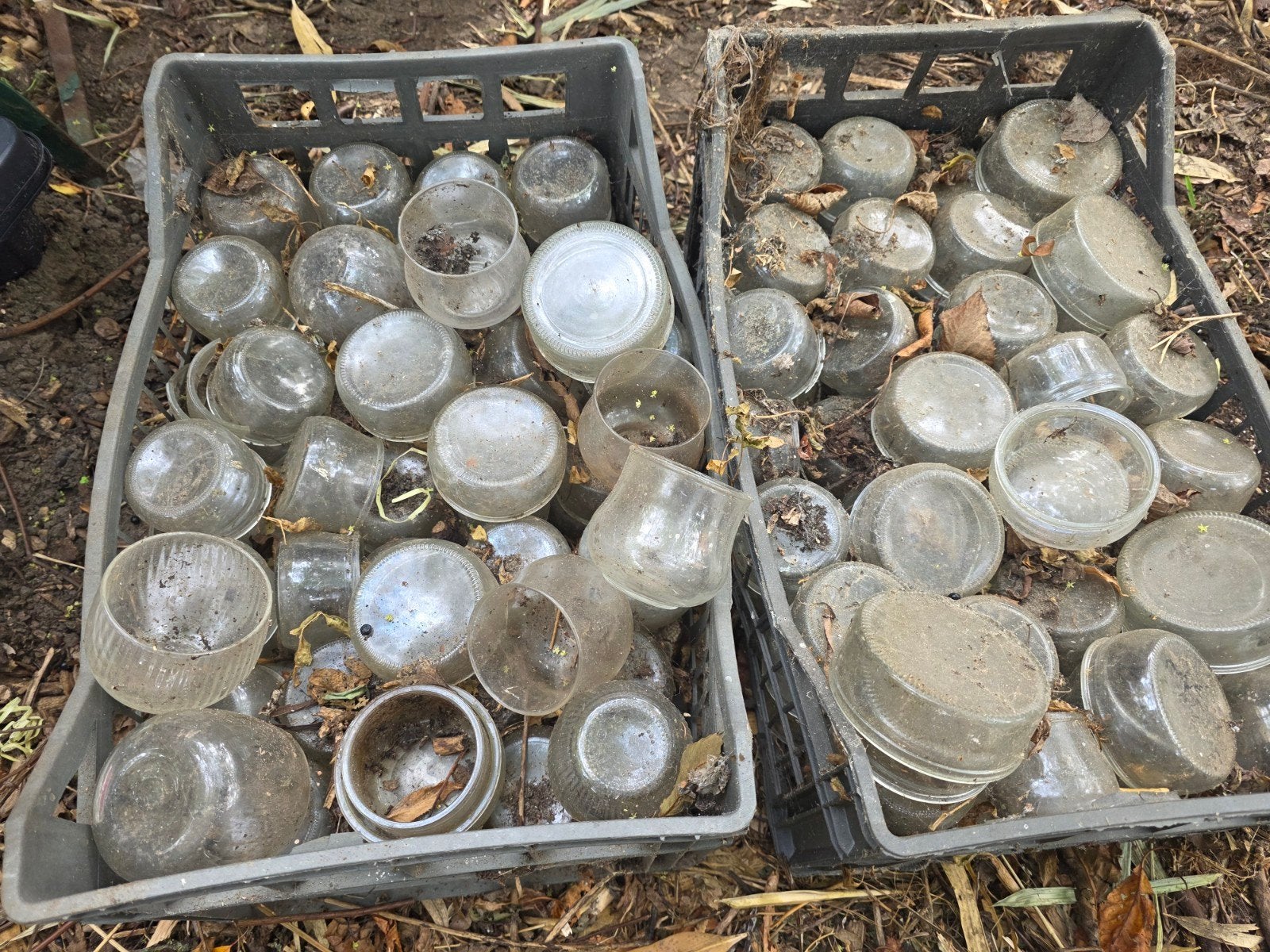 Bocaux en verre, idéaux pour les bougies chauffe-plat, Enlèvement