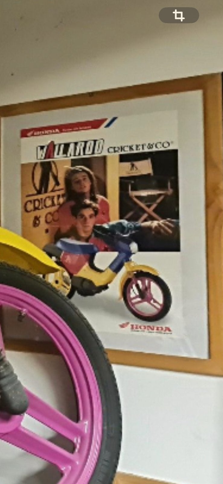 Wallaroo cricket &co, Vélos & Vélomoteurs, Pièces de cyclomoteur | Général, Enlèvement, Utilisé