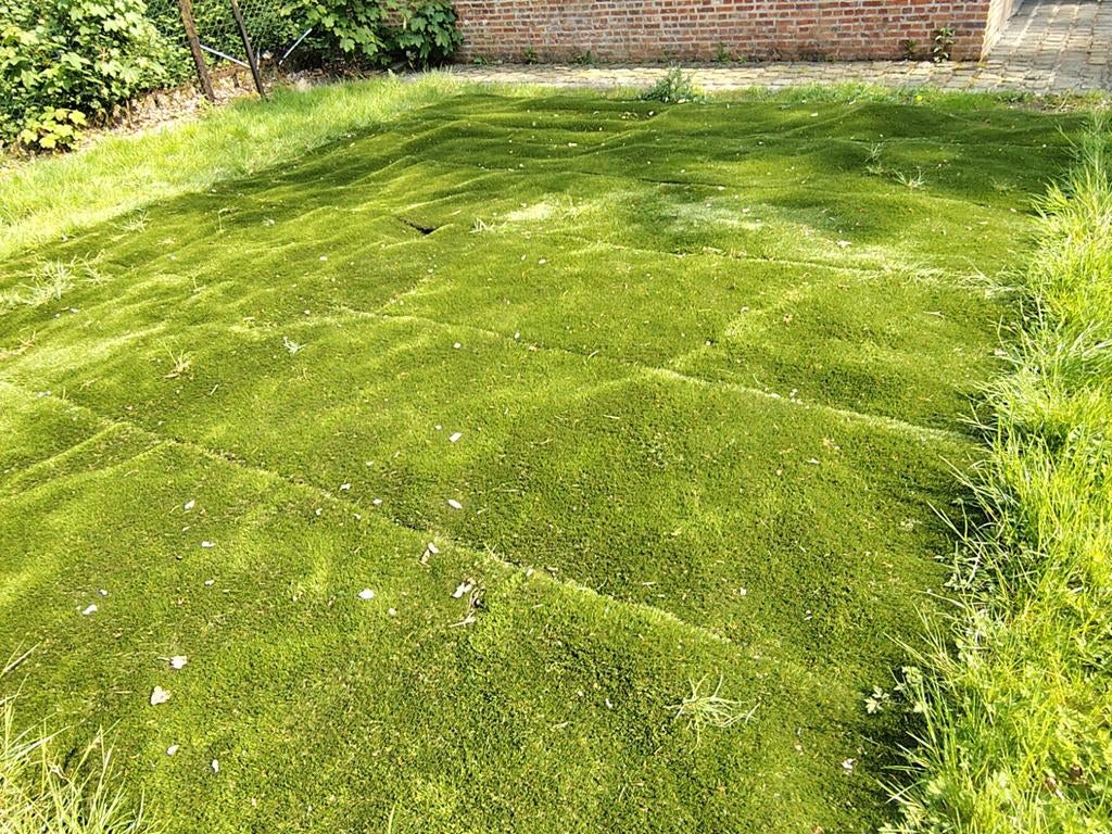 Kunstgras, Tuin en Terras, Ophalen, Kunstgras