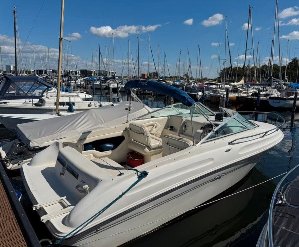 Sea Ray 215 EC motorboot tot 8 personen en Riba trailer, Watersport en Boten, Speedboten, Gebruikt, Sea Ray, Benzine, 200 pk of meer