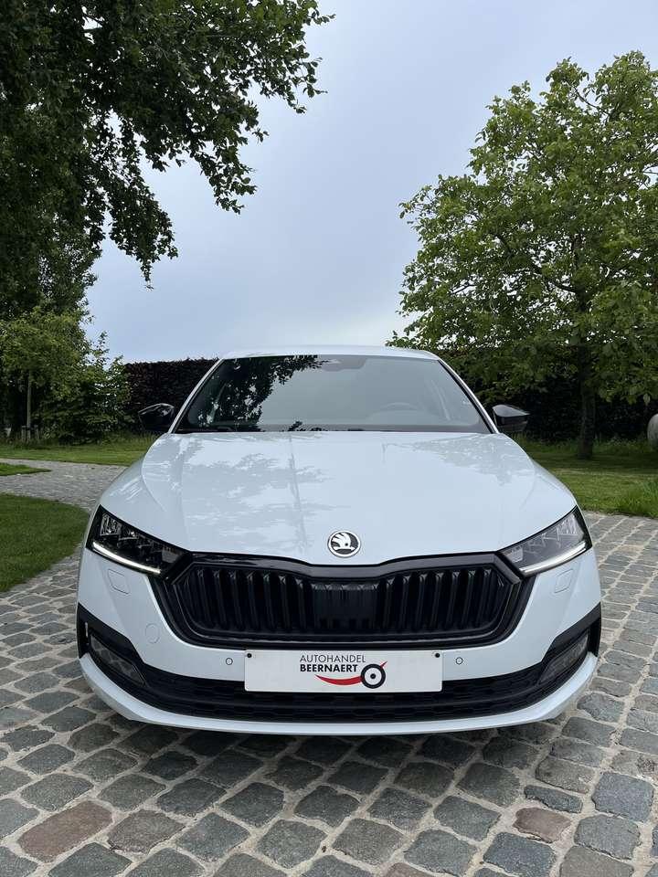 Skoda Octavia 1.0 TSI Ambition/1eignr/Carplay/Camera/Led/Cr, 0 kg, 0 kg, Wit, https://public.car-pass.be/vhr/c5bcfd29-7422-4263-a636-4f378d7ee6c7