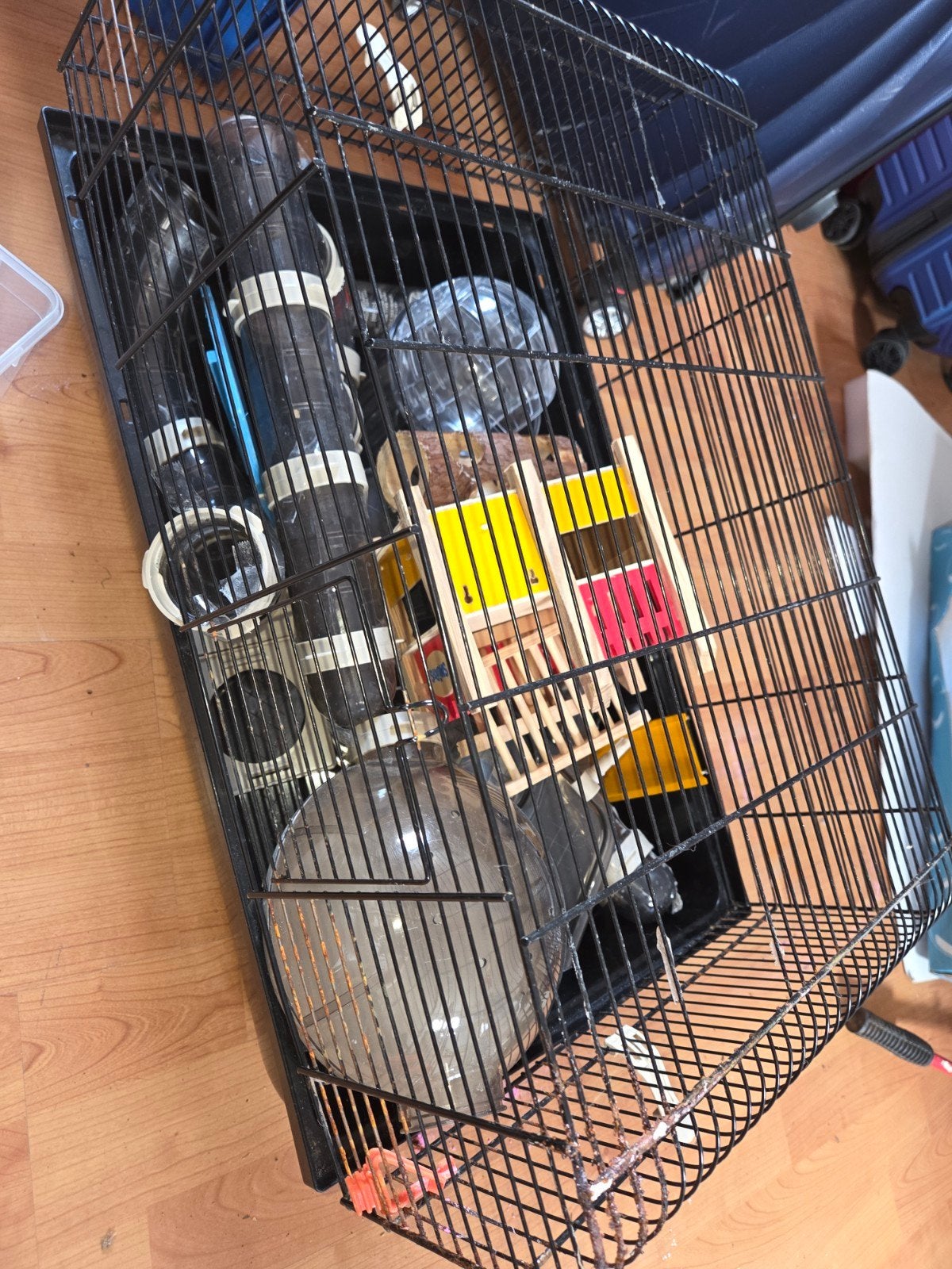 kooi en allerlei spullen voor hamster, Dieren en Toebehoren, Ophalen, Kooi, Hamster