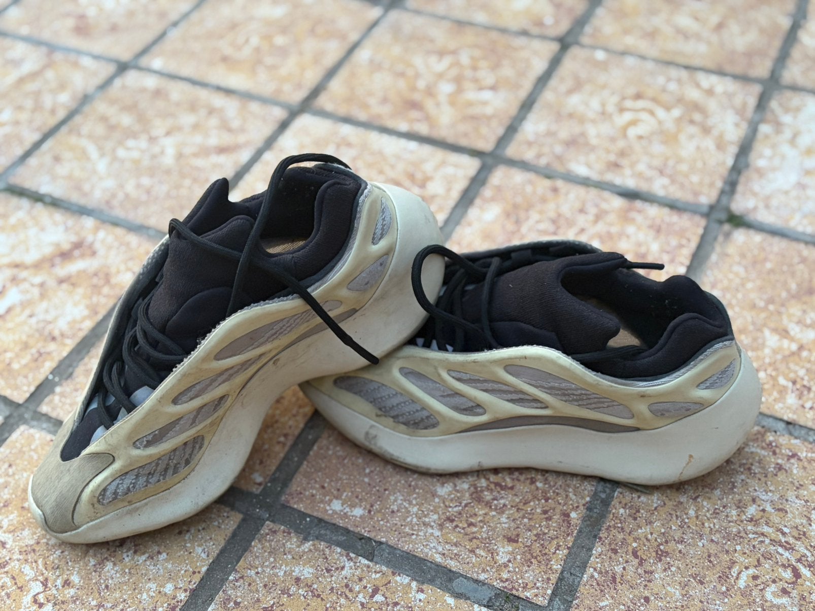 Adidas yeezy, Animaux & Accessoires, Reptiles & Amphibiens