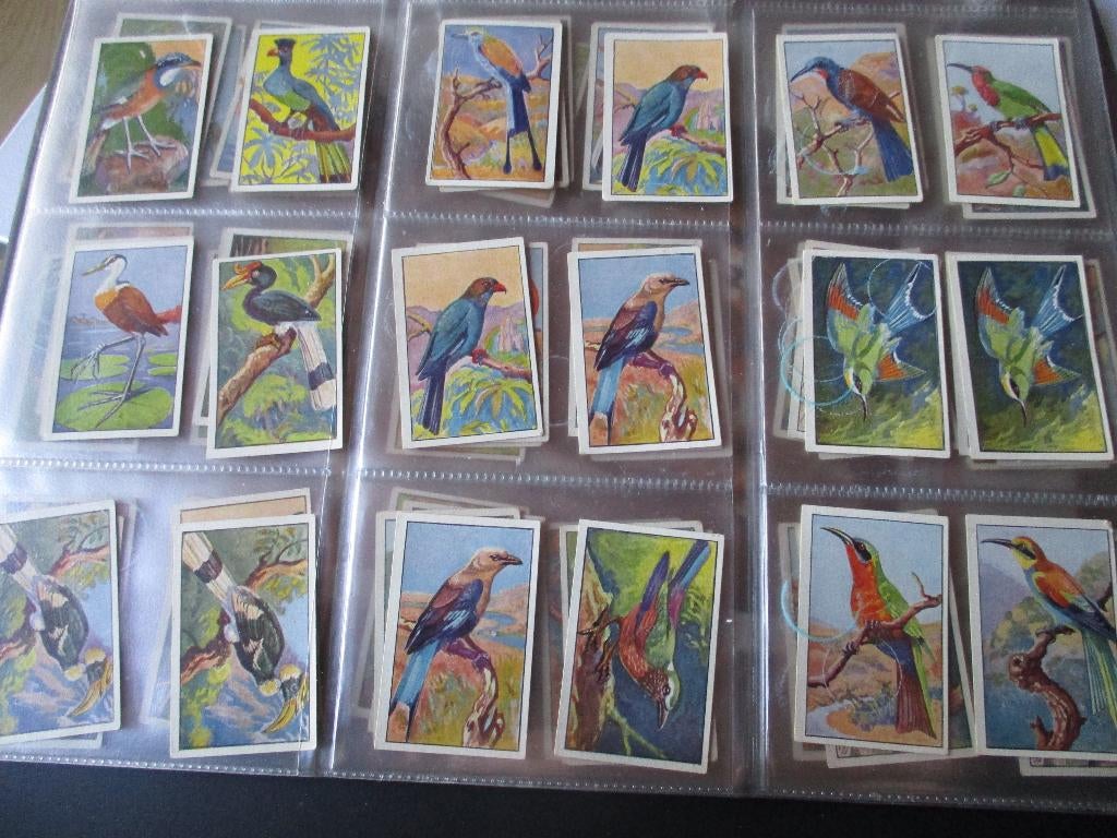 GERESEVEERD lot van 70 tal vogelprentjes van DE BIE lokeren, Ophalen