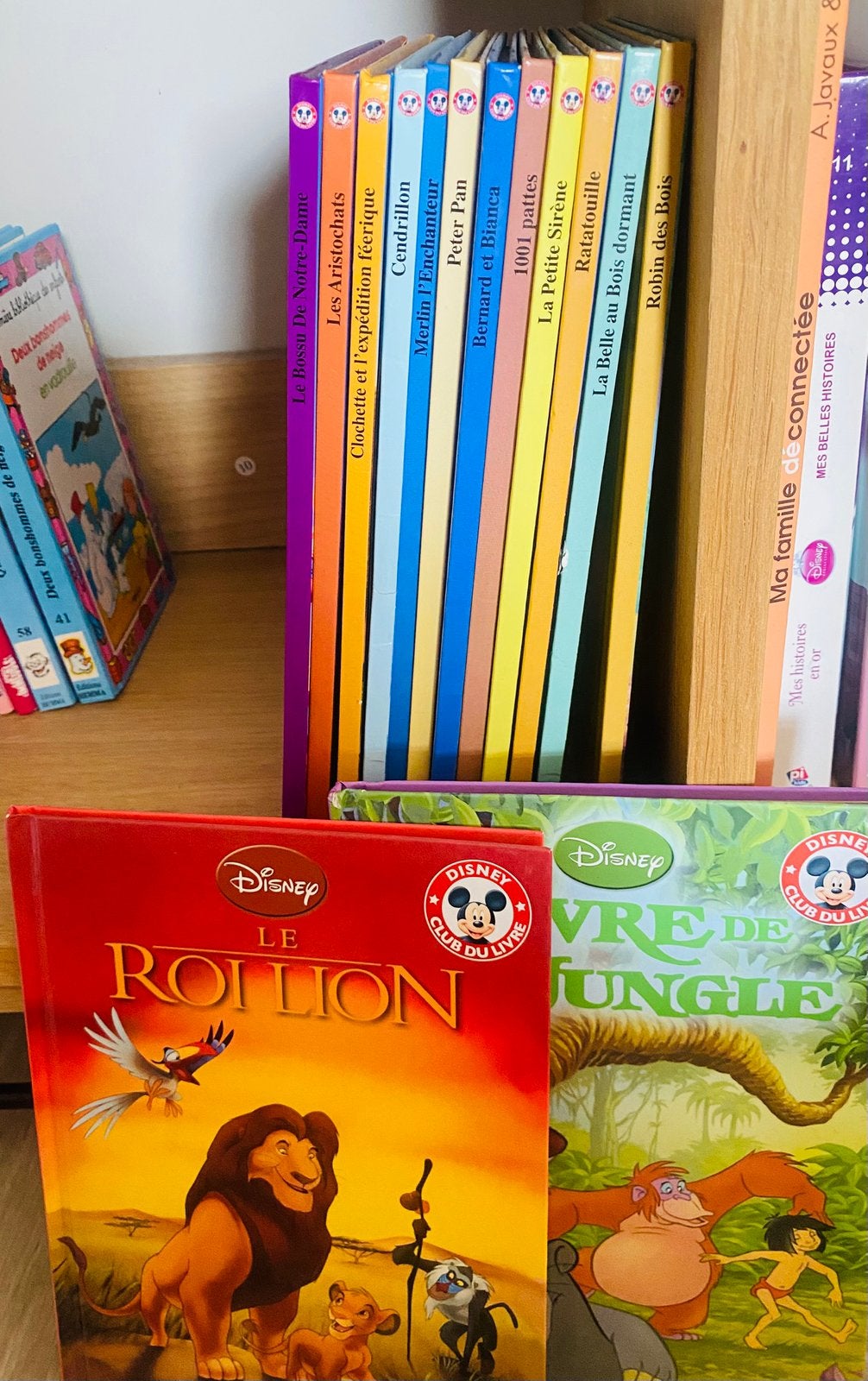 Lot 17 livres Disney, Enlèvement, Comme neuf