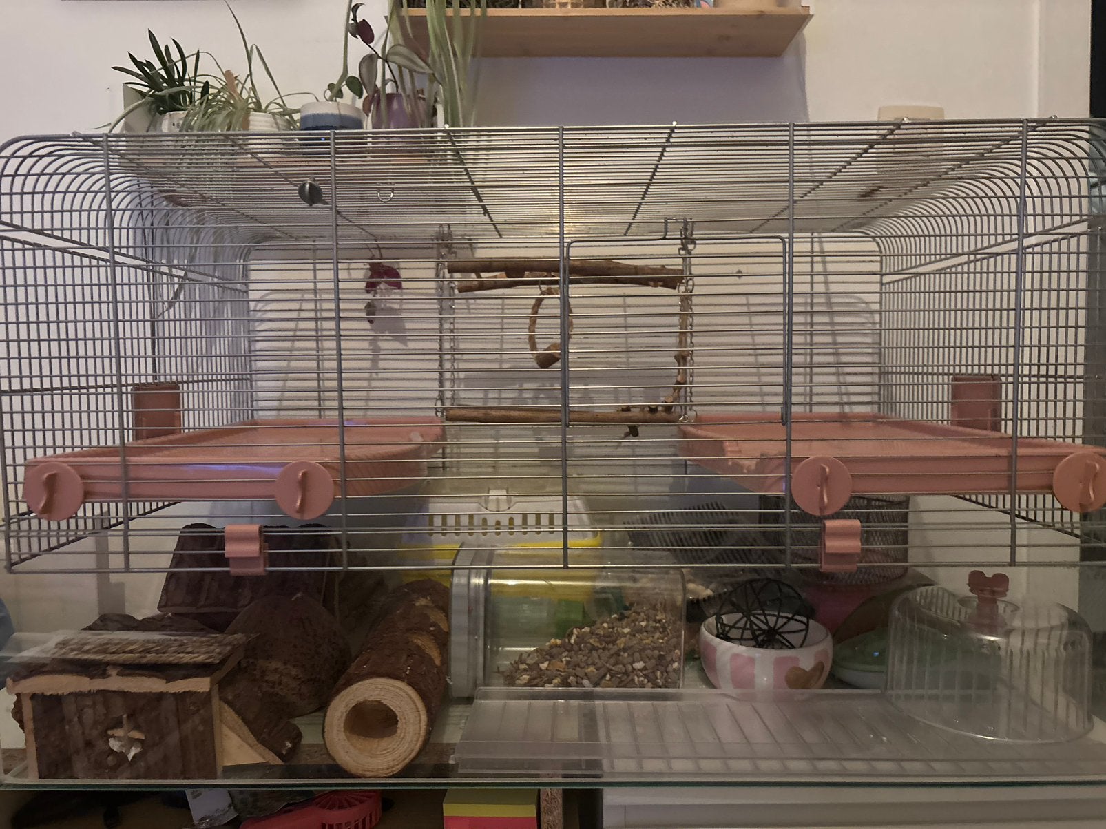 Hamster kooi+ benodigdheden, Dieren en Toebehoren, Ophalen, Kooi, Hamster