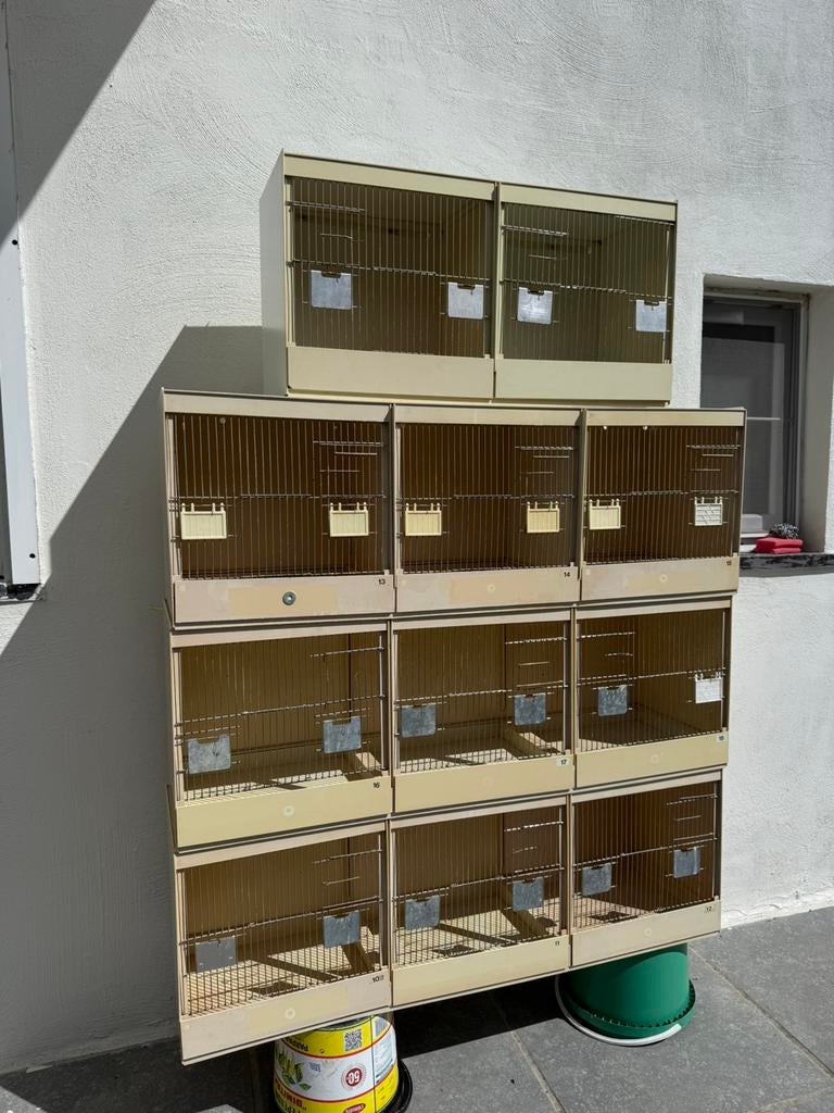 Kooien per stuuk 50€!, Animaux & Accessoires, Oiseaux | Cages & Volières, Comme neuf, Cage à oiseaux, Synthétique, Enlèvement