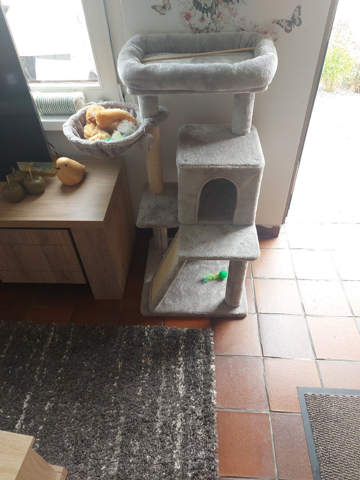 a vendre, Animaux & Accessoires, Enlèvement
