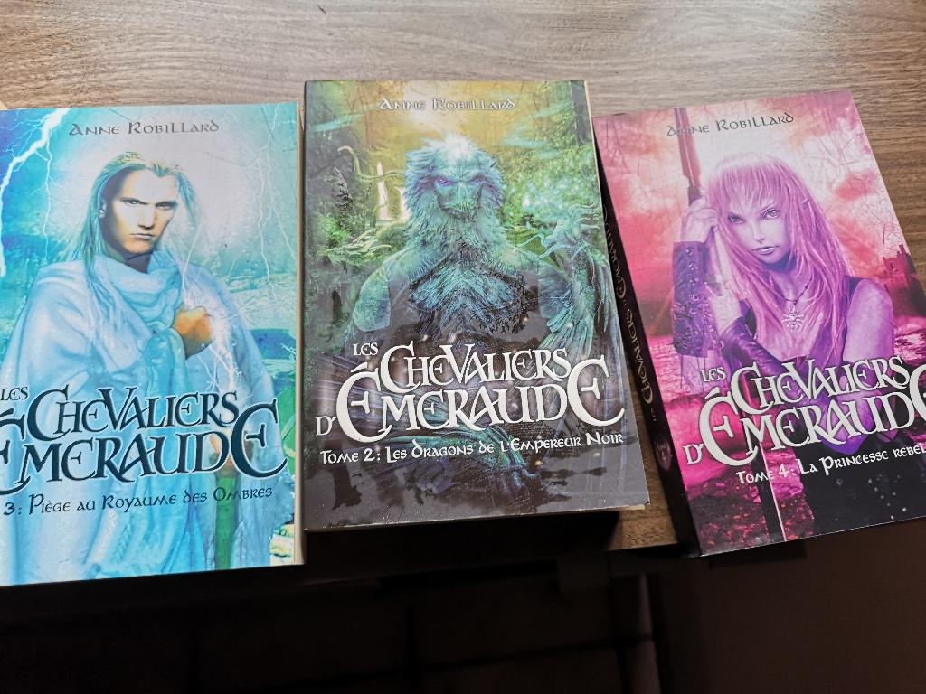 Livre chevalier d émeraude, Boeken, Fantasy, Ophalen, Gelezen